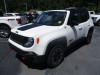 2023 Jeep Renegade TRAIL HAWK Call for price